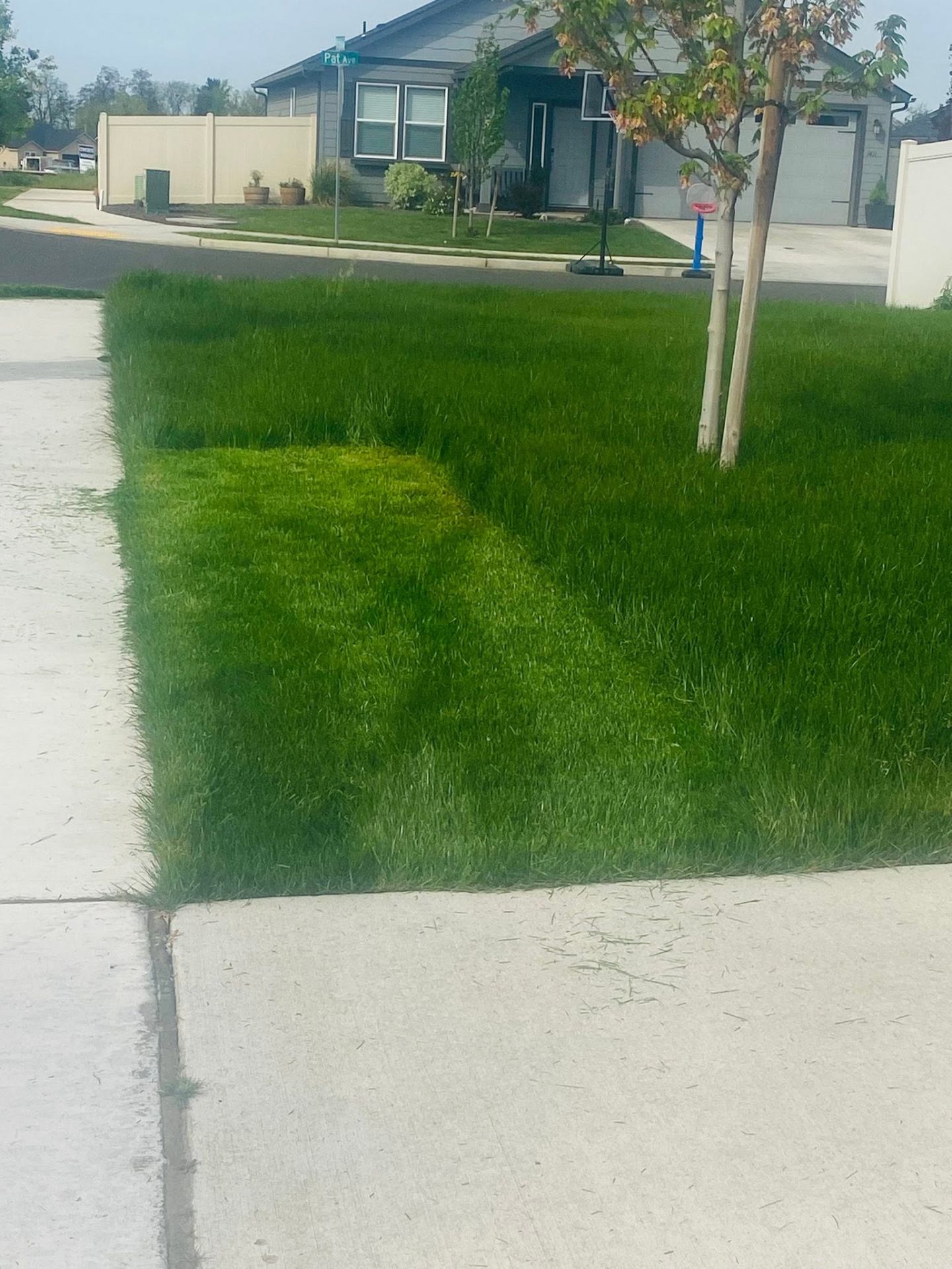 Landscaping project 72