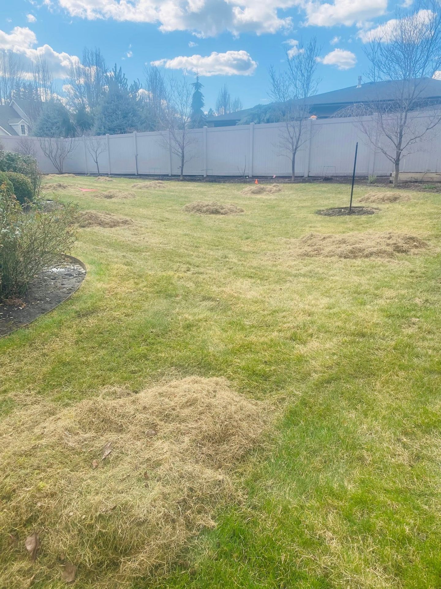 Landscaping project 41