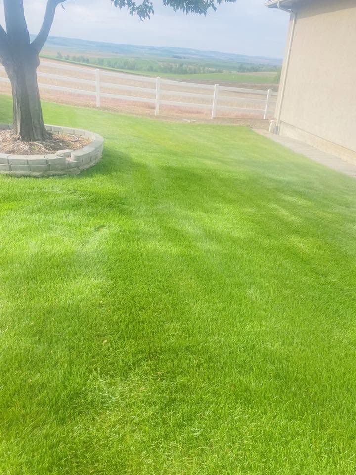Landscaping project 70