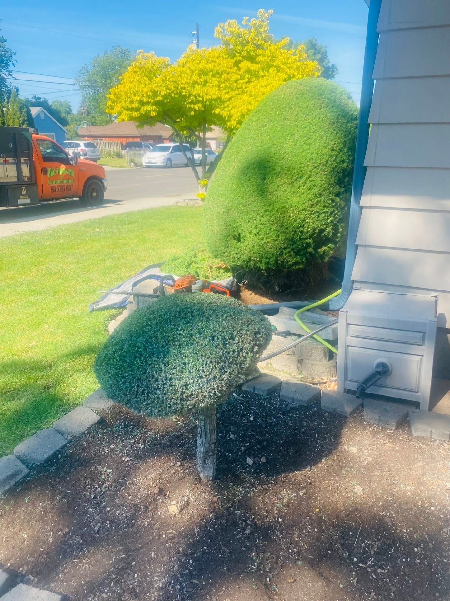 Landscaping project 62