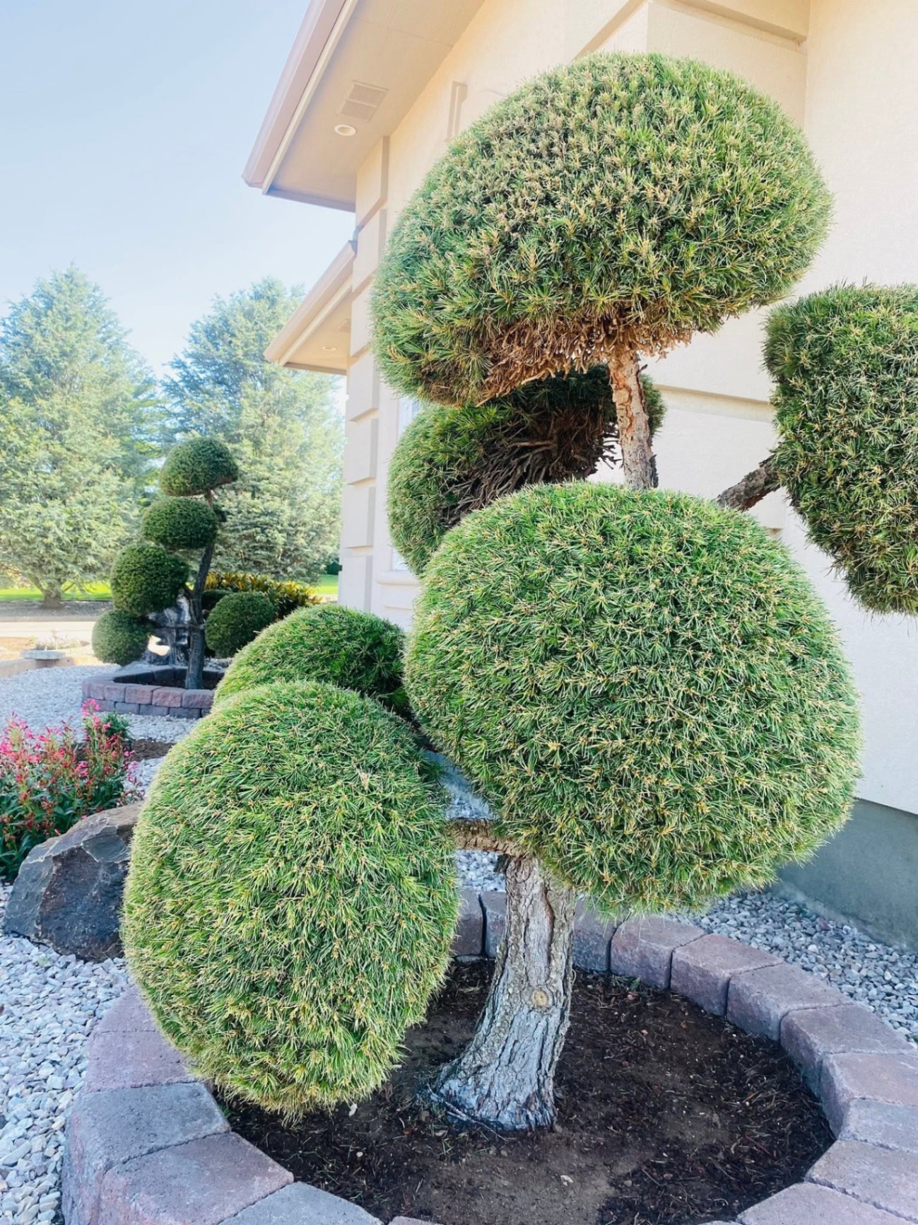 Landscaping project 15