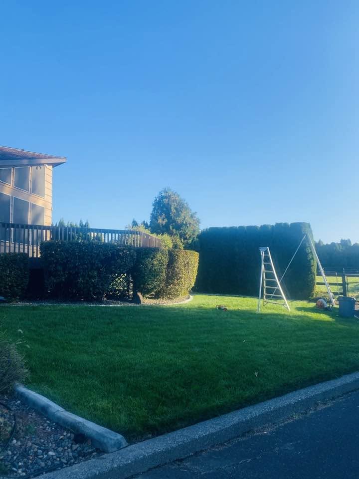 Landscaping project 85