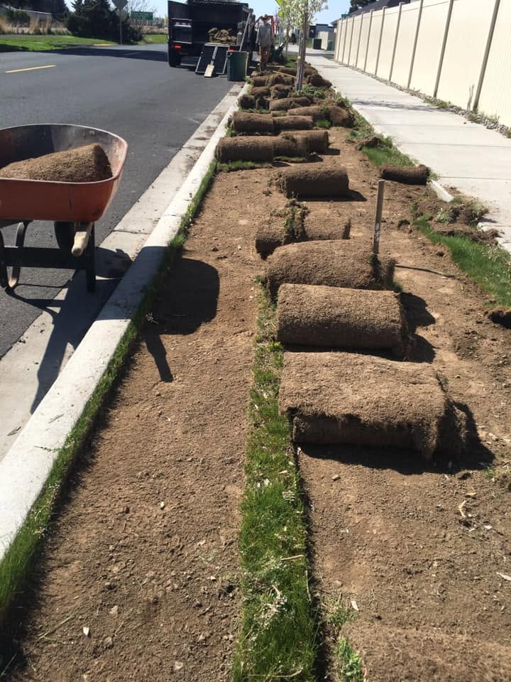 Landscaping project 88
