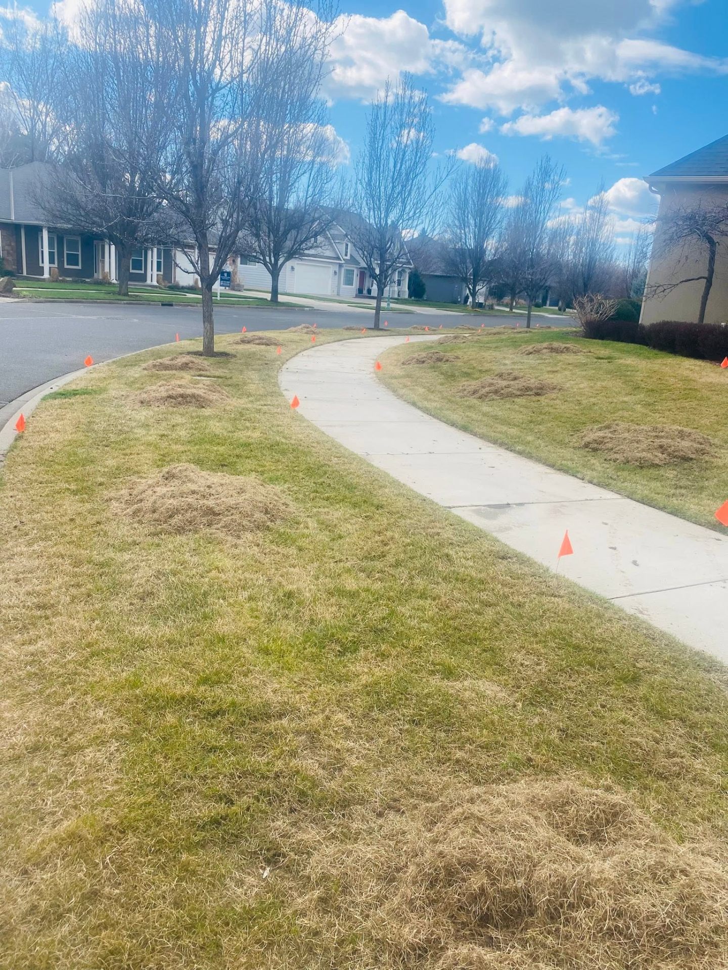 Landscaping project 35
